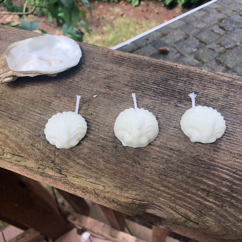 🐚 Homemade Mini Shell Candles 🐚